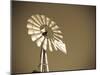USA, Oklahoma, Windpumps and Windmill-Alan Copson-Mounted Photographic Print