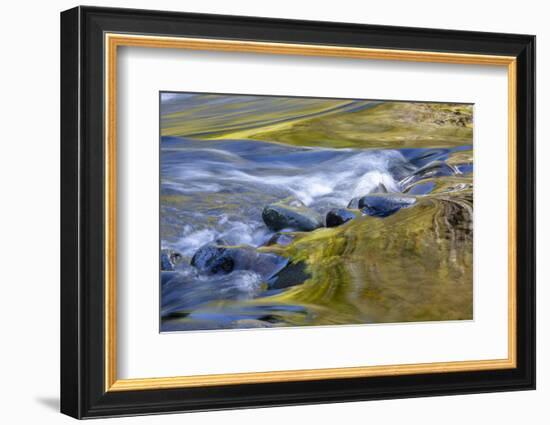 USA, Oregon. Abstract of autumn colors reflected in Wilson River rapids.-Jaynes Gallery-Framed Photographic Print