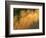 USA, Oregon. Abstract of Crooked River, Smith Rock State Park-Howie Garber-Framed Photographic Print