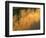 USA, Oregon. Abstract of Crooked River, Smith Rock State Park-Howie Garber-Framed Photographic Print