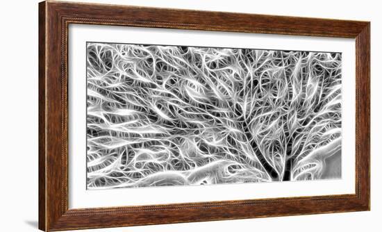 USA, Oregon. Abstract of sea fan.-Jaynes Gallery-Framed Photographic Print