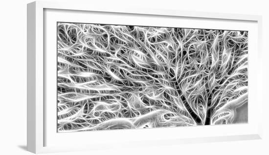 USA, Oregon. Abstract of sea fan.-Jaynes Gallery-Framed Photographic Print