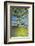USA, Oregon. Alder Tree over South Fork Wilson River-Steve Terrill-Framed Photographic Print