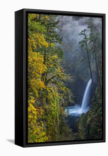 USA, Oregon. Autumn Fall Color and Mist at Metlako Falls on Eagle Creek in the Columbia Gorge-Gary Luhm-Framed Premier Image Canvas