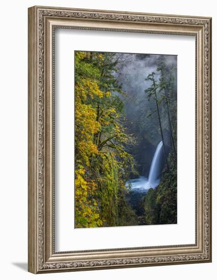 USA, Oregon. Autumn Fall Color and Mist at Metlako Falls on Eagle Creek in the Columbia Gorge-Gary Luhm-Framed Photographic Print