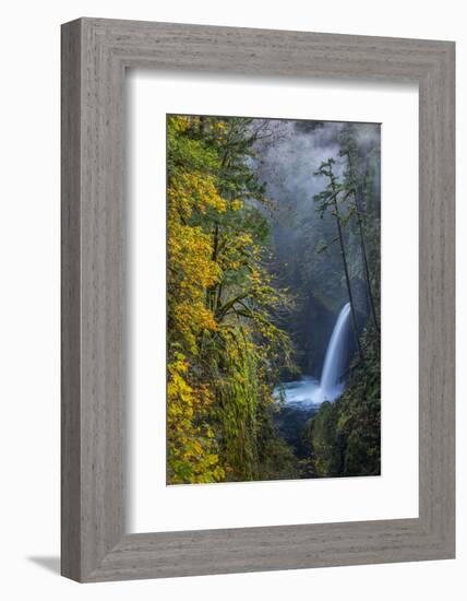 USA, Oregon. Autumn Fall Color and Mist at Metlako Falls on Eagle Creek in the Columbia Gorge-Gary Luhm-Framed Photographic Print