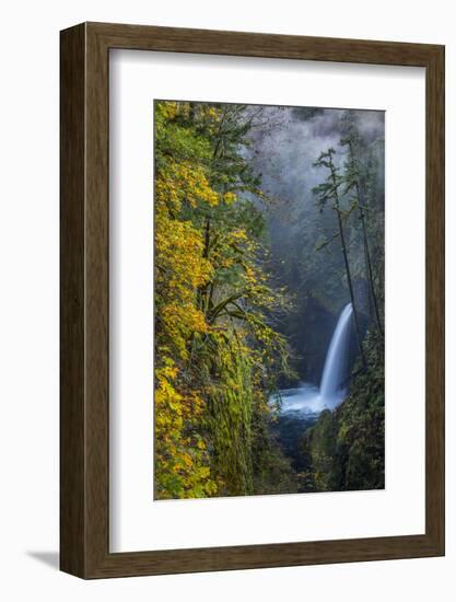 USA, Oregon. Autumn Fall Color and Mist at Metlako Falls on Eagle Creek in the Columbia Gorge-Gary Luhm-Framed Photographic Print