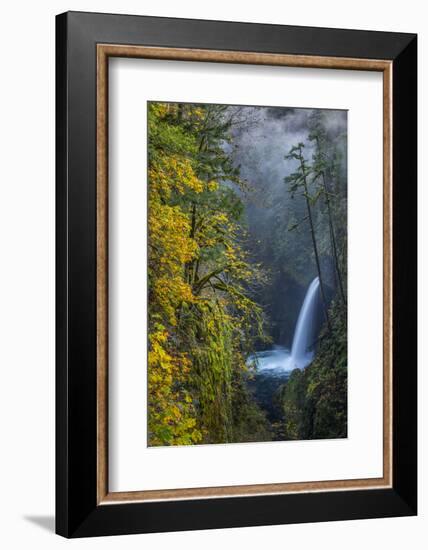 USA, Oregon. Autumn Fall Color and Mist at Metlako Falls on Eagle Creek in the Columbia Gorge-Gary Luhm-Framed Photographic Print