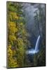 USA, Oregon. Autumn Fall Color and Mist at Metlako Falls on Eagle Creek in the Columbia Gorge-Gary Luhm-Mounted Photographic Print