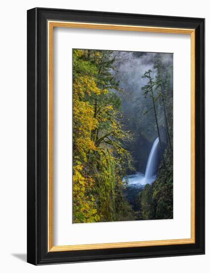 USA, Oregon. Autumn Fall Color and Mist at Metlako Falls on Eagle Creek in the Columbia Gorge-Gary Luhm-Framed Photographic Print