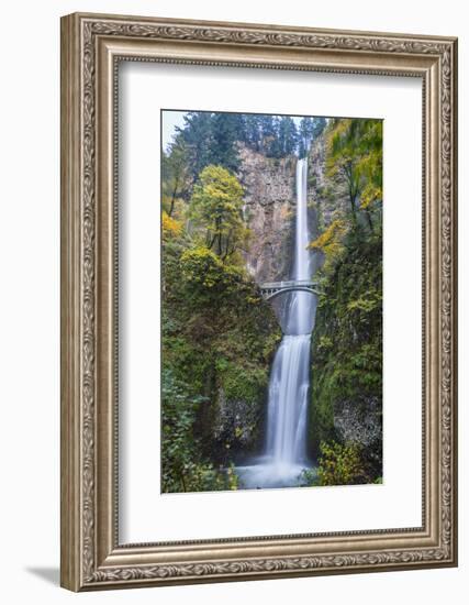 USA, Oregon. Autumn Season at Multnomah Falls in the Columbia Gorge-Gary Luhm-Framed Photographic Print