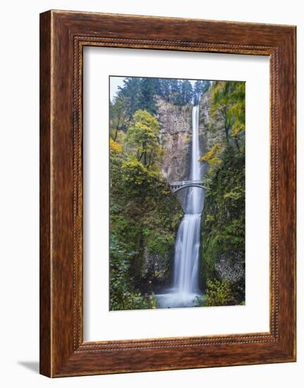 USA, Oregon. Autumn Season at Multnomah Falls in the Columbia Gorge-Gary Luhm-Framed Photographic Print