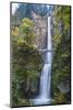 USA, Oregon. Autumn Season at Multnomah Falls in the Columbia Gorge-Gary Luhm-Mounted Photographic Print