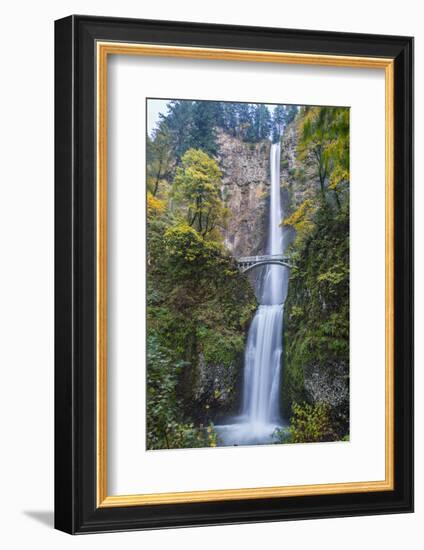 USA, Oregon. Autumn Season at Multnomah Falls in the Columbia Gorge-Gary Luhm-Framed Photographic Print