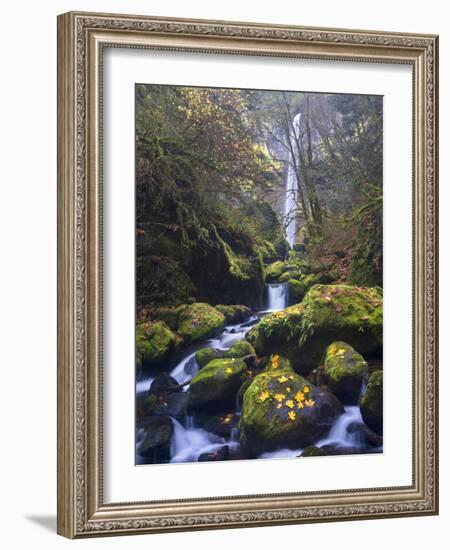 USA, Oregon. Autumn view of McCord Creek flowing below Elowah Falls in the Columbia River Gorge.-Gary Luhm-Framed Photographic Print