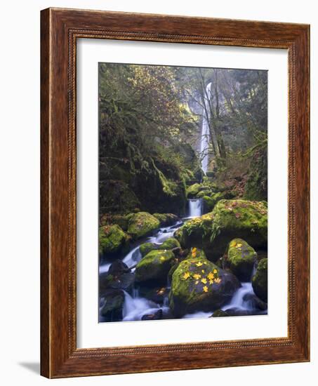 USA, Oregon. Autumn view of McCord Creek flowing below Elowah Falls in the Columbia River Gorge.-Gary Luhm-Framed Photographic Print