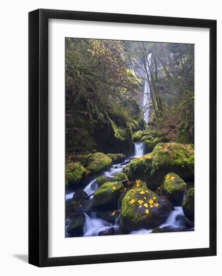 USA, Oregon. Autumn view of McCord Creek flowing below Elowah Falls in the Columbia River Gorge.-Gary Luhm-Framed Photographic Print