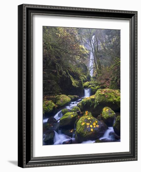 USA, Oregon. Autumn view of McCord Creek flowing below Elowah Falls in the Columbia River Gorge.-Gary Luhm-Framed Photographic Print