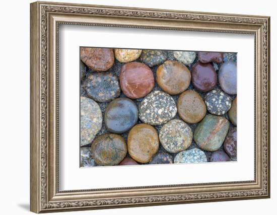Usa, Oregon, Bandon. Bandon Beach, Closeup of Rocks Gathered on the Beach-Hollice Looney-Framed Photographic Print
