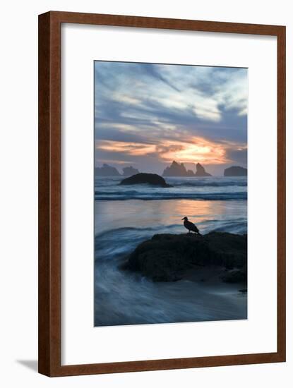 USA, Oregon, Bandon Beach. Seagull on Rock at Twilight-Jaynes Gallery-Framed Photographic Print