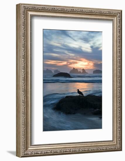 USA, Oregon, Bandon Beach. Seagull on Rock at Twilight-Jaynes Gallery-Framed Photographic Print