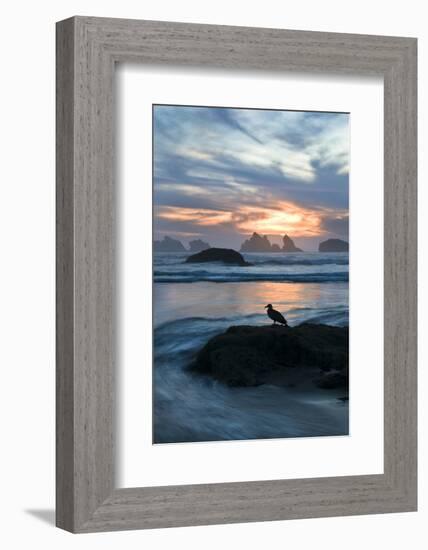 USA, Oregon, Bandon Beach. Seagull on Rock at Twilight-Jaynes Gallery-Framed Photographic Print