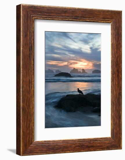 USA, Oregon, Bandon Beach. Seagull on Rock at Twilight-Jaynes Gallery-Framed Photographic Print