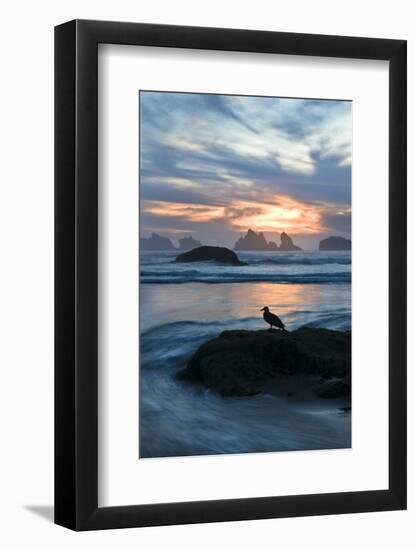 USA, Oregon, Bandon Beach. Seagull on Rock at Twilight-Jaynes Gallery-Framed Photographic Print