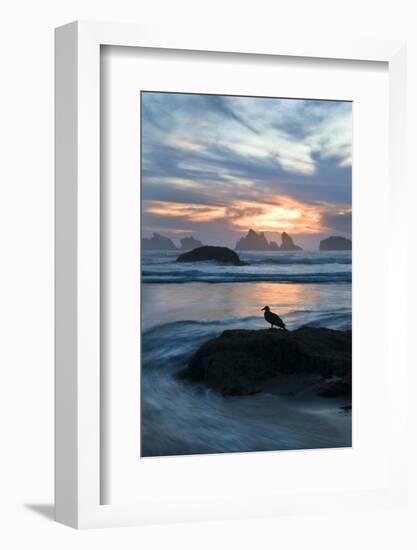 USA, Oregon, Bandon Beach. Seagull on Rock at Twilight-Jaynes Gallery-Framed Photographic Print