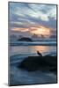 USA, Oregon, Bandon Beach. Seagull on Rock at Twilight-Jaynes Gallery-Mounted Photographic Print