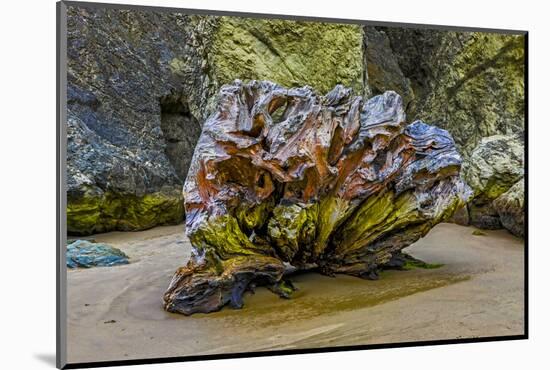 USA, Oregon, Bandon, Beach-Joe Restuccia III-Mounted Photographic Print