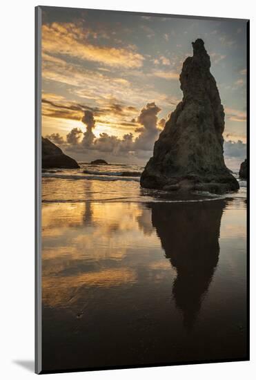 USA, Oregon, Bandon. Shore Scenic-Cathy & Gordon Illg-Mounted Photographic Print