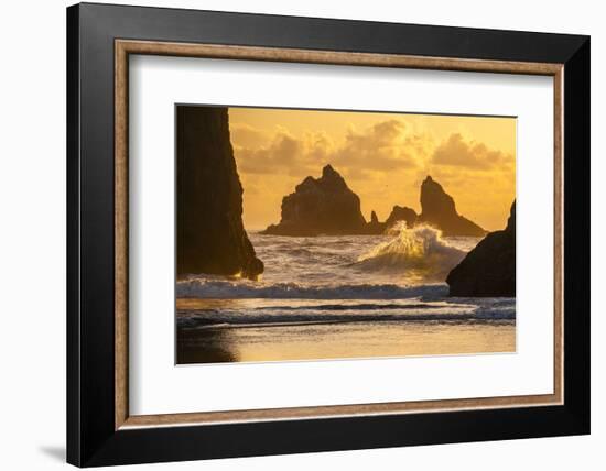 USA, Oregon, Bandon. Shore Scenic-Cathy & Gordon Illg-Framed Photographic Print