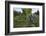 USA, Oregon, Blueberries on the Bush-Rick A. Brown-Framed Photographic Print