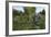 USA, Oregon, Blueberries on the Bush-Rick A. Brown-Framed Photographic Print
