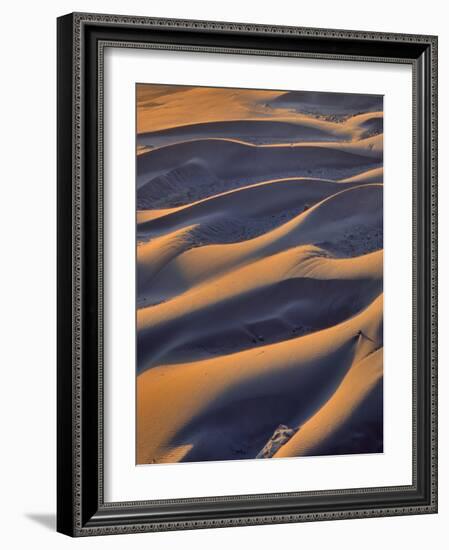 USA, Oregon, Cape Sebastian. Close-up of Sand Dunes-Steve Terrill-Framed Photographic Print