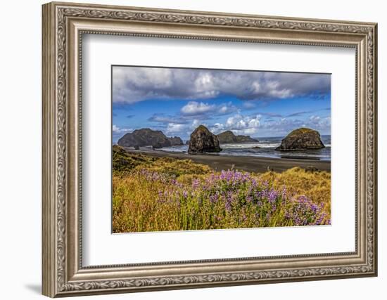 USA, Oregon, Cape Sebastian-Joe Restuccia III-Framed Photographic Print