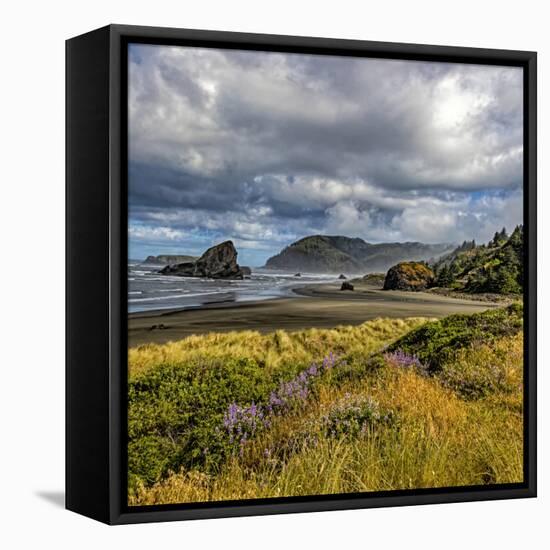 USA, Oregon, Cape Sebastian-Joe Restuccia III-Framed Premier Image Canvas