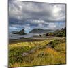 USA, Oregon, Cape Sebastian-Joe Restuccia III-Mounted Photographic Print