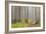 Usa; Oregon Coast; Neptune State Scenic Viewpoint; a Trail into the Foggy Forest-Don Paulson-Framed Photographic Print