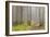 Usa; Oregon Coast; Neptune State Scenic Viewpoint; a Trail into the Foggy Forest-Don Paulson-Framed Photographic Print