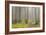 Usa; Oregon Coast; Neptune State Scenic Viewpoint; a Trail into the Foggy Forest-Don Paulson-Framed Photographic Print