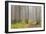 Usa; Oregon Coast; Neptune State Scenic Viewpoint; a Trail into the Foggy Forest-Don Paulson-Framed Photographic Print