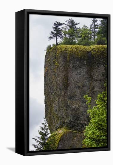 USA, Oregon. Columbia Gorge, conifers on bluff above Oneonta Gorge.-Alison Jones-Framed Premier Image Canvas