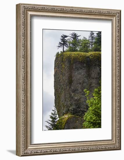 USA, Oregon. Columbia Gorge, conifers on bluff above Oneonta Gorge.-Alison Jones-Framed Photographic Print