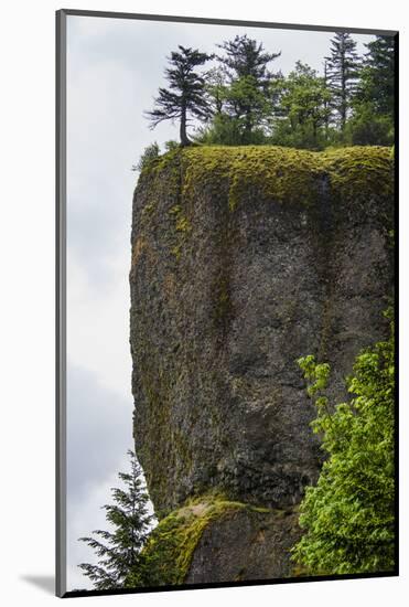 USA, Oregon. Columbia Gorge, conifers on bluff above Oneonta Gorge.-Alison Jones-Mounted Photographic Print