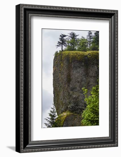 USA, Oregon. Columbia Gorge, conifers on bluff above Oneonta Gorge.-Alison Jones-Framed Photographic Print