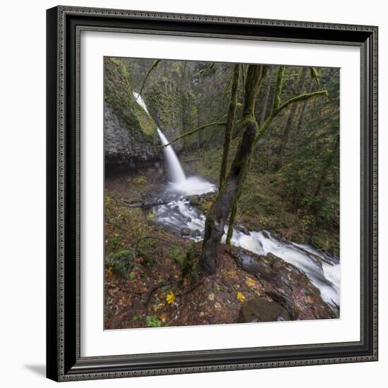 USA, Oregon, Columbia River Gorge area, ponytail falls.-Brent Bergherm-Framed Photographic Print