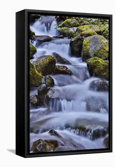 USA, Oregon, Columbia River Gorge, Water Cascading over Rocks at Punchbowl Falls-Hollice Looney-Framed Premier Image Canvas