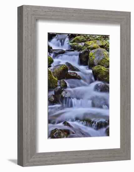 USA, Oregon, Columbia River Gorge, Water Cascading over Rocks at Punchbowl Falls-Hollice Looney-Framed Photographic Print